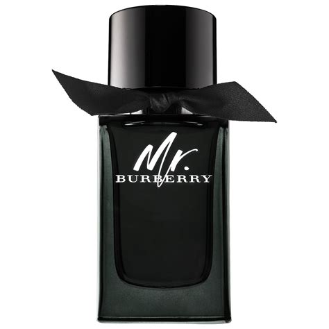 burberry mr burberry eau de parfum edp 100|mr burberry edp fragrantica.